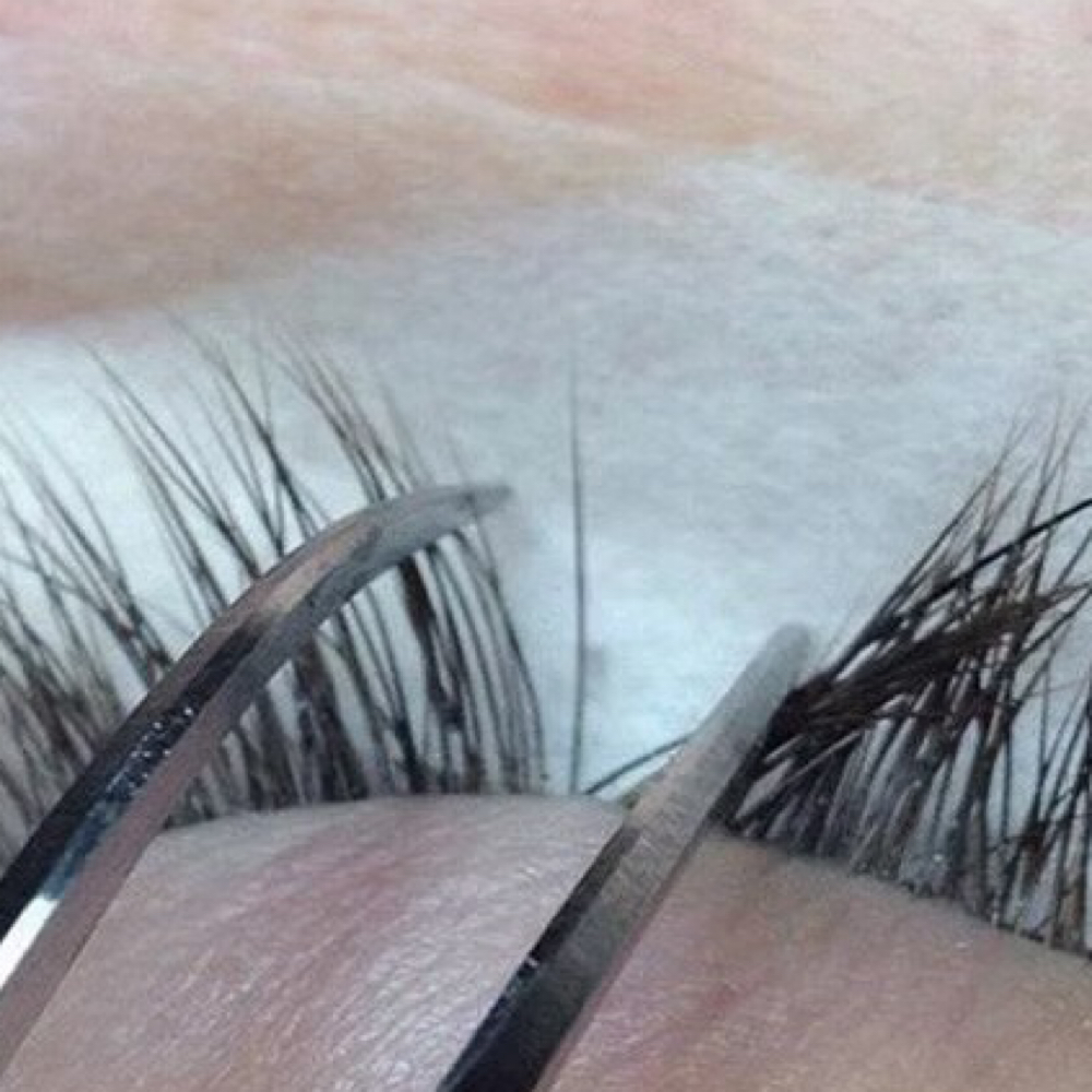 House Call Any Lash Fill at The Beauty Works in Tampa, FL