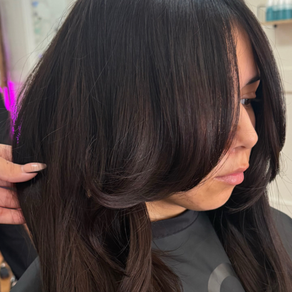 Basic Solid Color at KI SALON in Fresno, CA