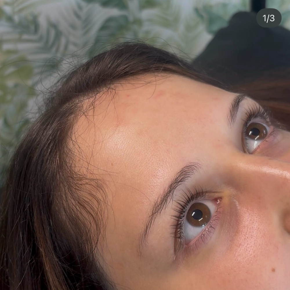 Lash Lift + tint at Hayley Deloge - Lash Artist / Esthetician in Cranston, RI