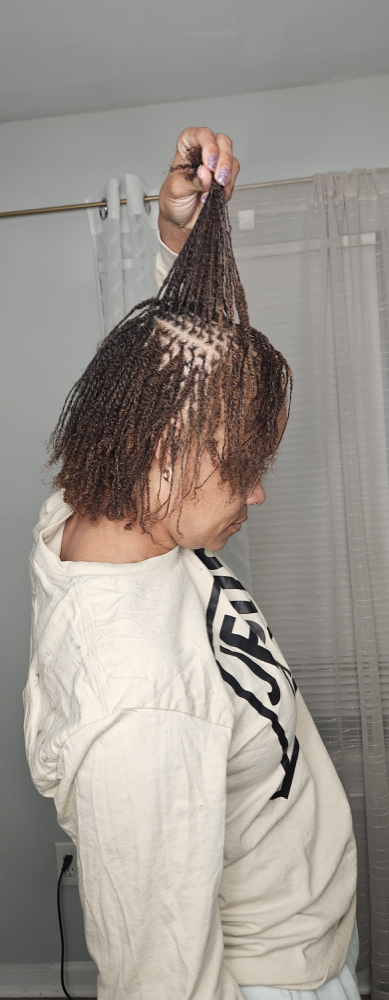 MICRO INTERLOCK at Celia Braids in CHARLOTTE, NC