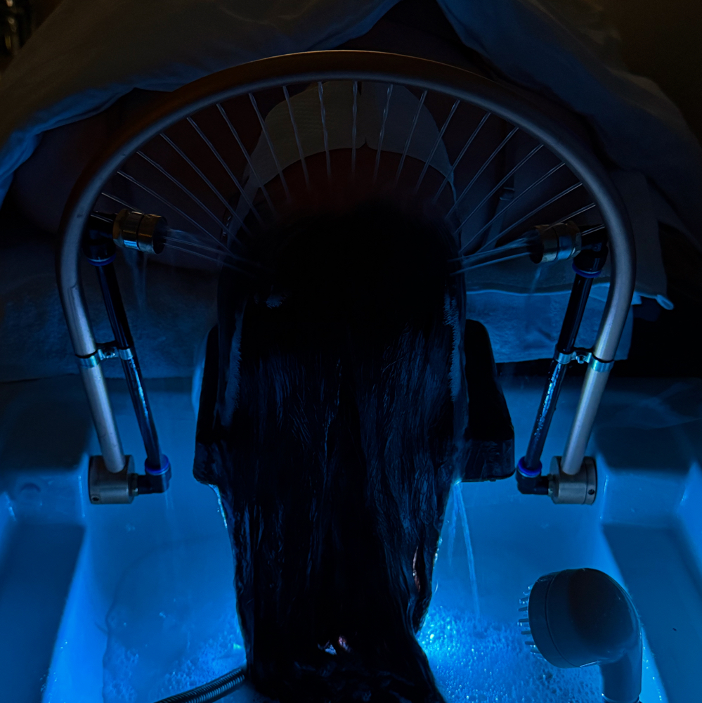 Head Spa Treatment + Mini Facial
