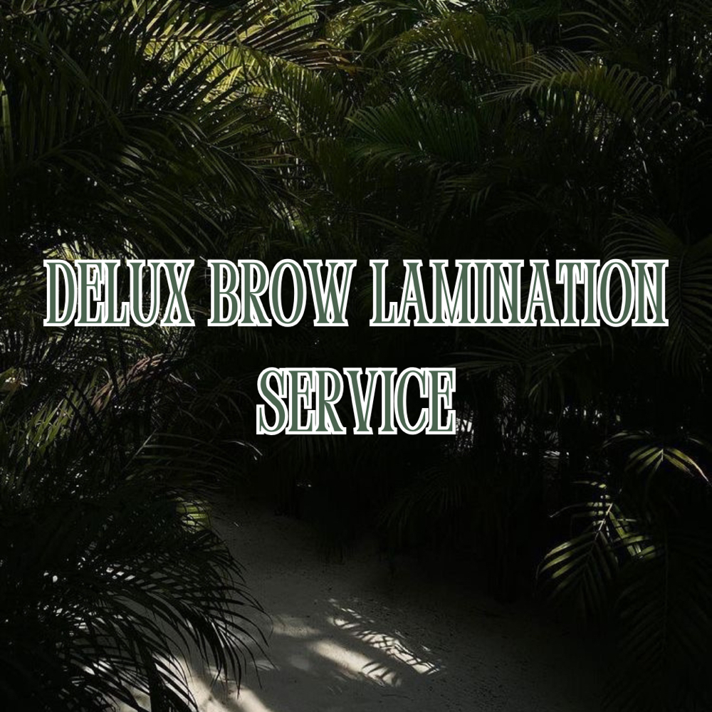 DELUX BROW LAMINATION SERVICE at SkinxHim Aesthetics in Athens, TX