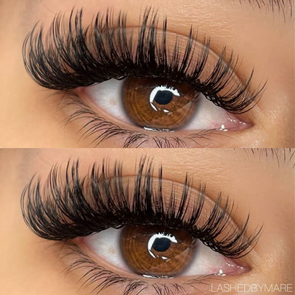 Classic Lashes