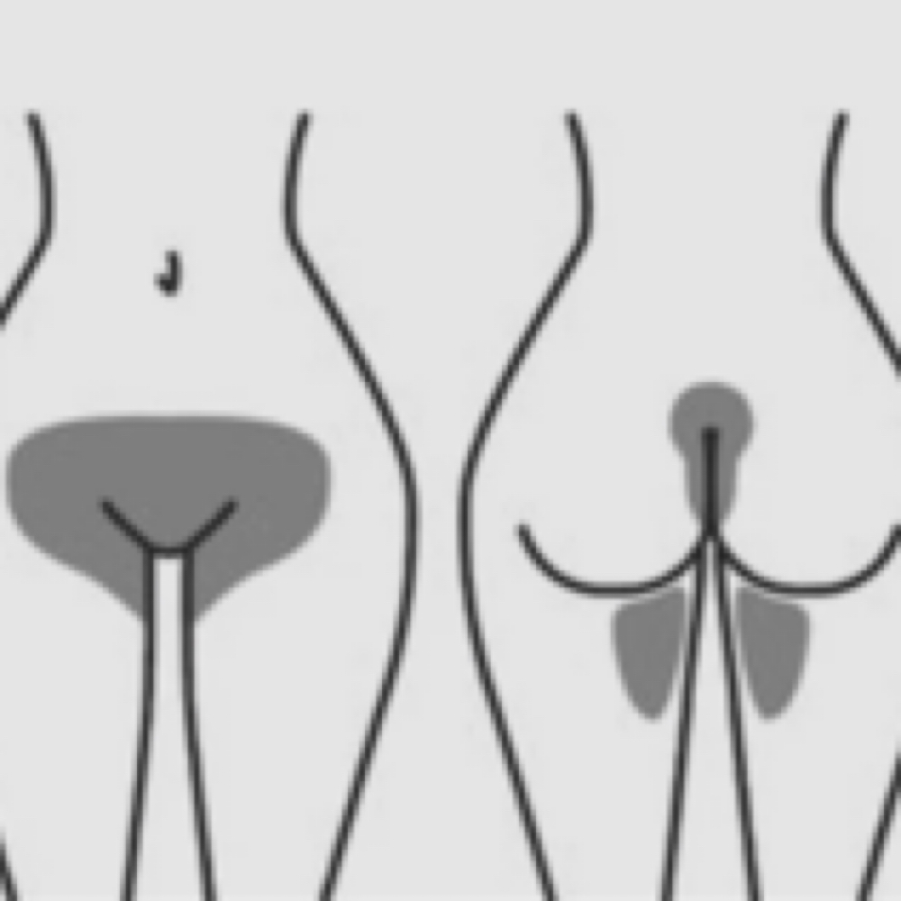 Brazilian Female at Simply Skin LLC in Carson City, NV