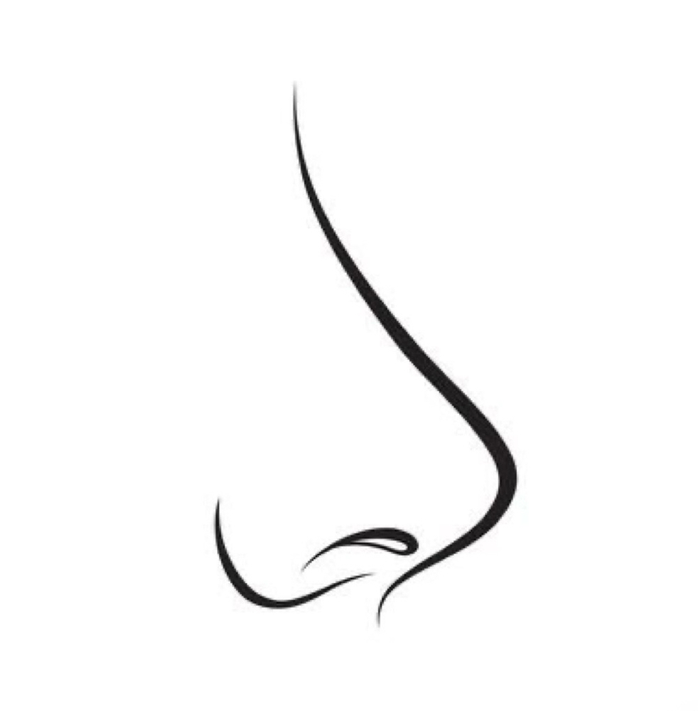 Nose wax at Olive.glowesthetics in West Monroe, LA