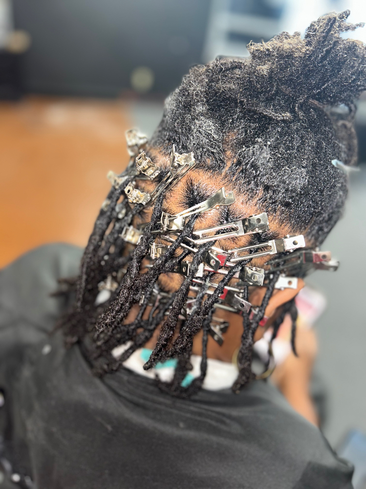 Starter Locs
