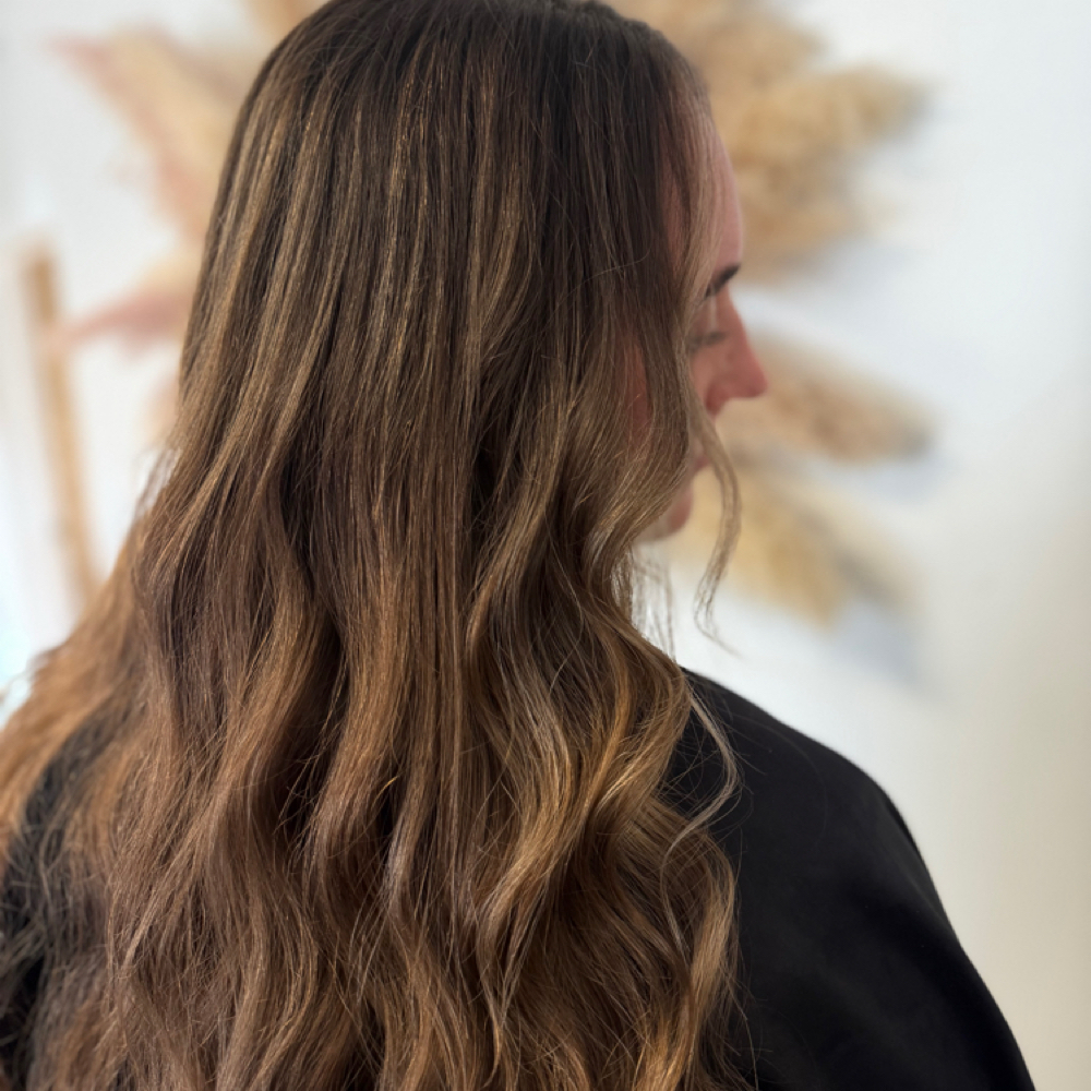 Reverse BALAYGE ✨ at yourmanegirl.allycooper in Deland, FL