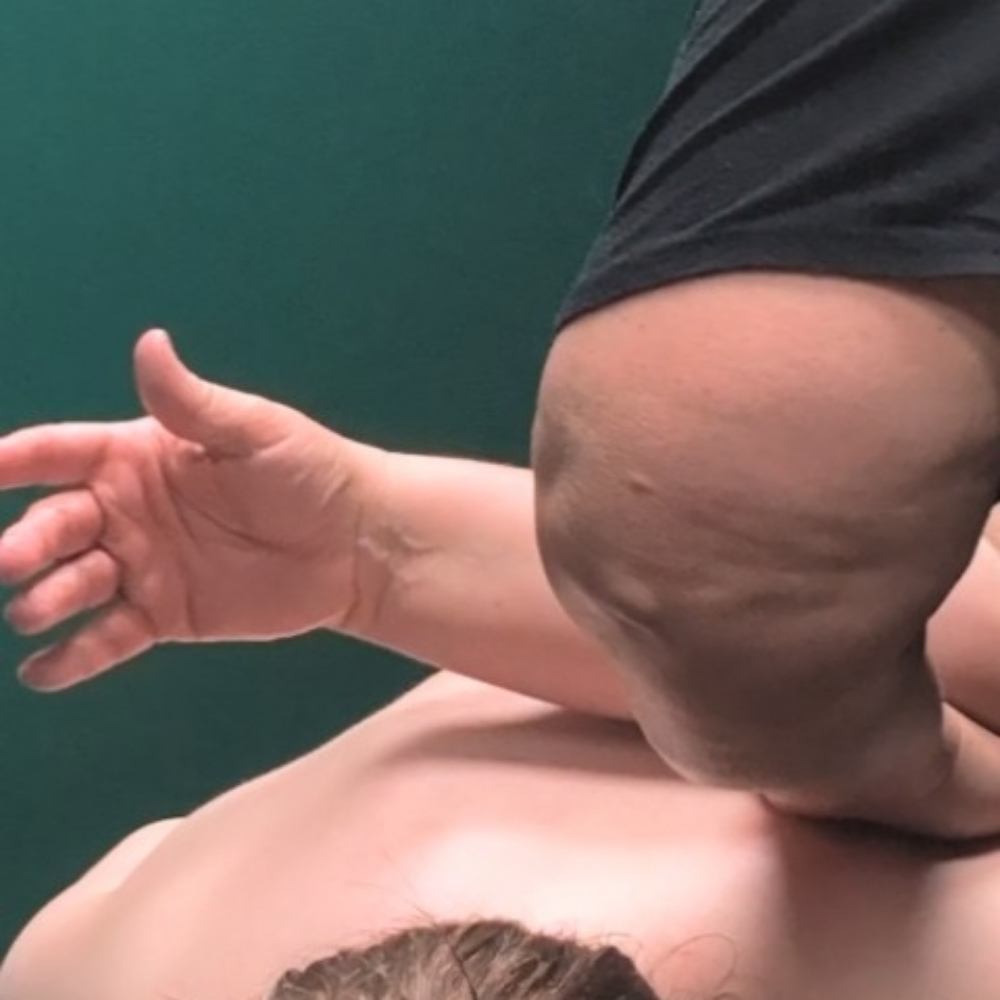 1 hour Bodyshop Massage at B's Bodyshop Massage & Bodywork in Chattanooga, TN