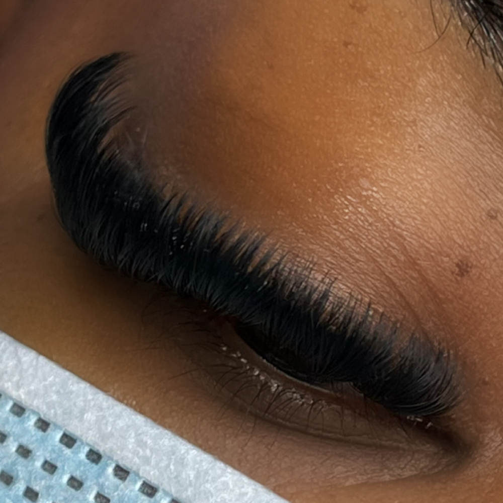 Mega Volume Full Set at Lash Bully in Springfield, MA