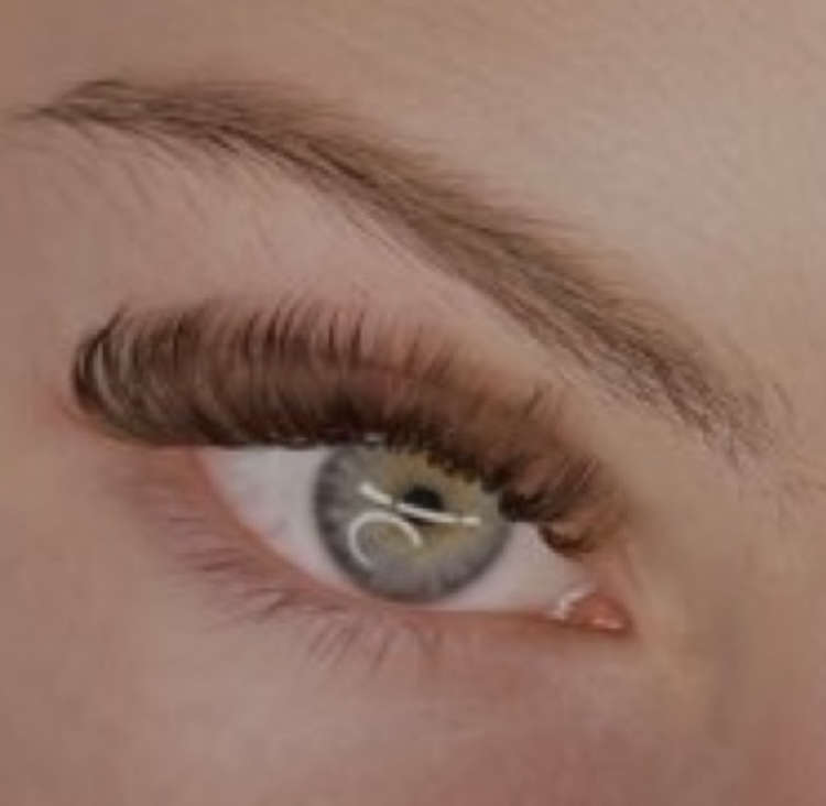 Volume Brown Lash Set