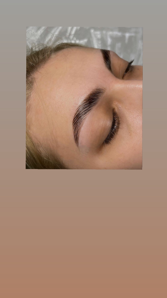 Brow Lamination With Tint at EVOLVE BEAUTY in Brookfield, WI