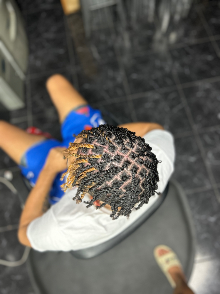 Two Strand Twist (Small)