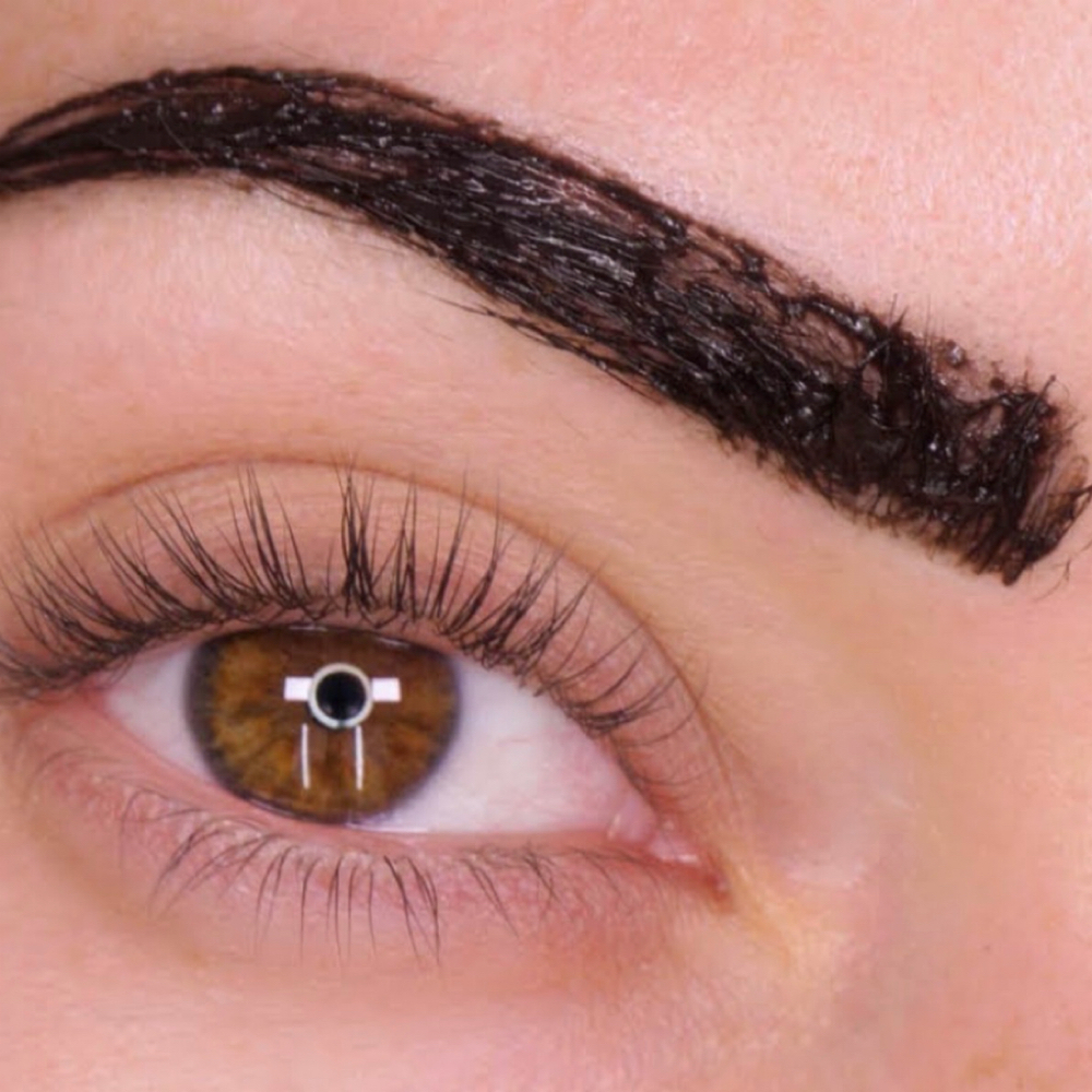 Brow Tint at Beauty Boss Salon by Dani                                631-445-8258 in Sarasota, FL