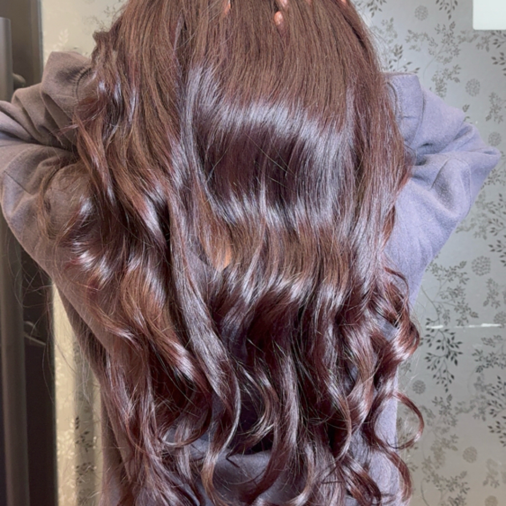 Single Process Color at Shammi’s Hair Studio in Troy, MI