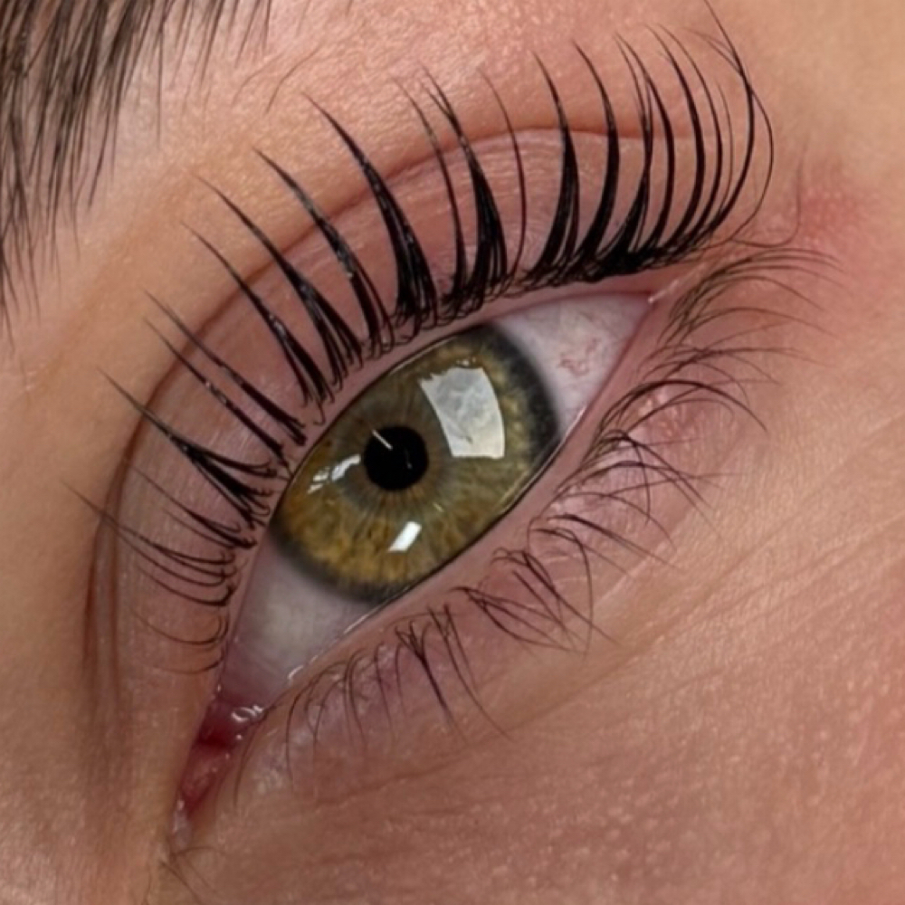 Lash Lift at M. Shell Beauty in Glendale, AZ