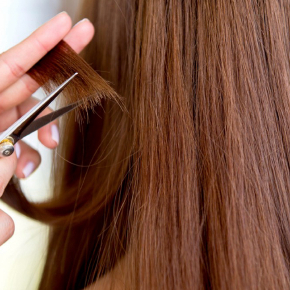 Dry Cut Only at Freeborn Hair Studio in Camden, DE