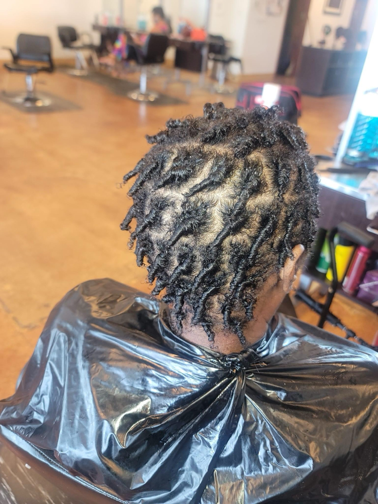 Starter Locs