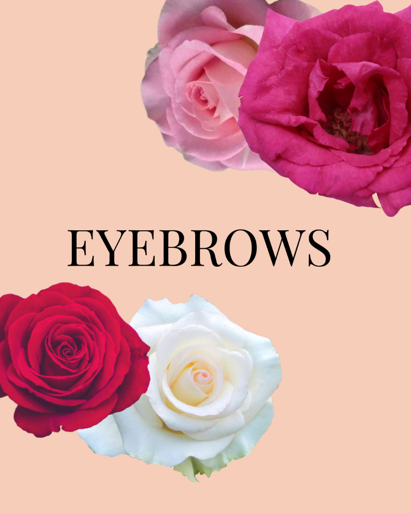 EYEBROWS