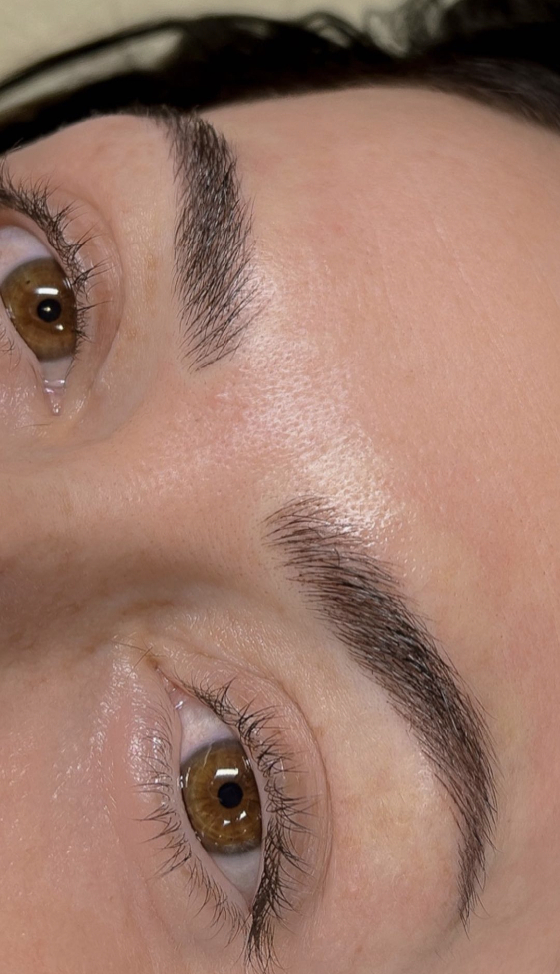 Nano Brows (Hair Like Strokes)