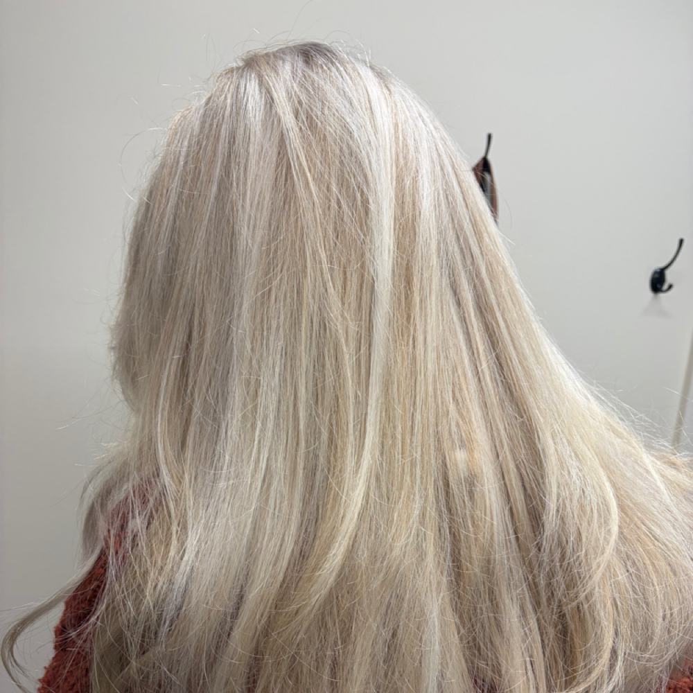 Signature All-Over Blonding at Beauty Realized in Holland, MI