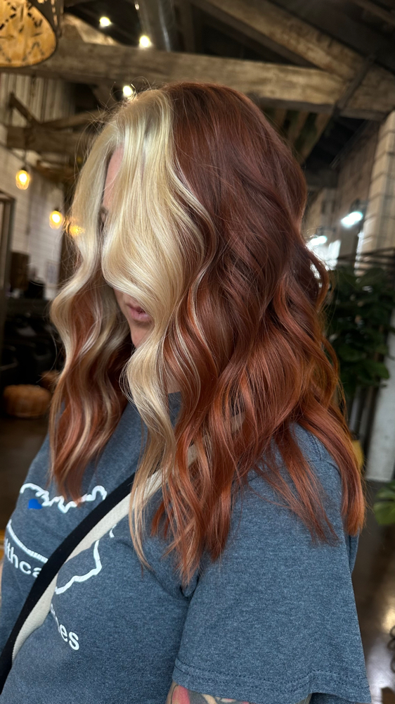 Extension/corrective Color Consult