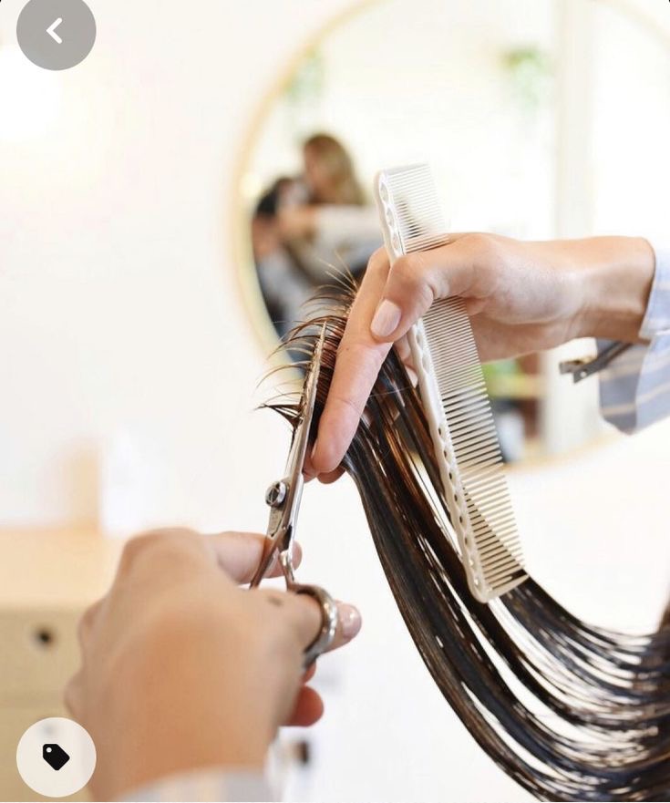 Scissor Cut