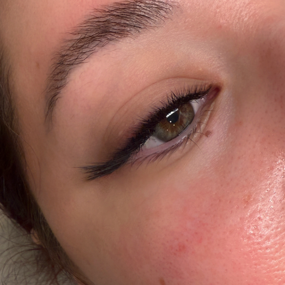 Natural 2D  Lash Extensions at SH Lash Beauty in Beverly Hills, CA