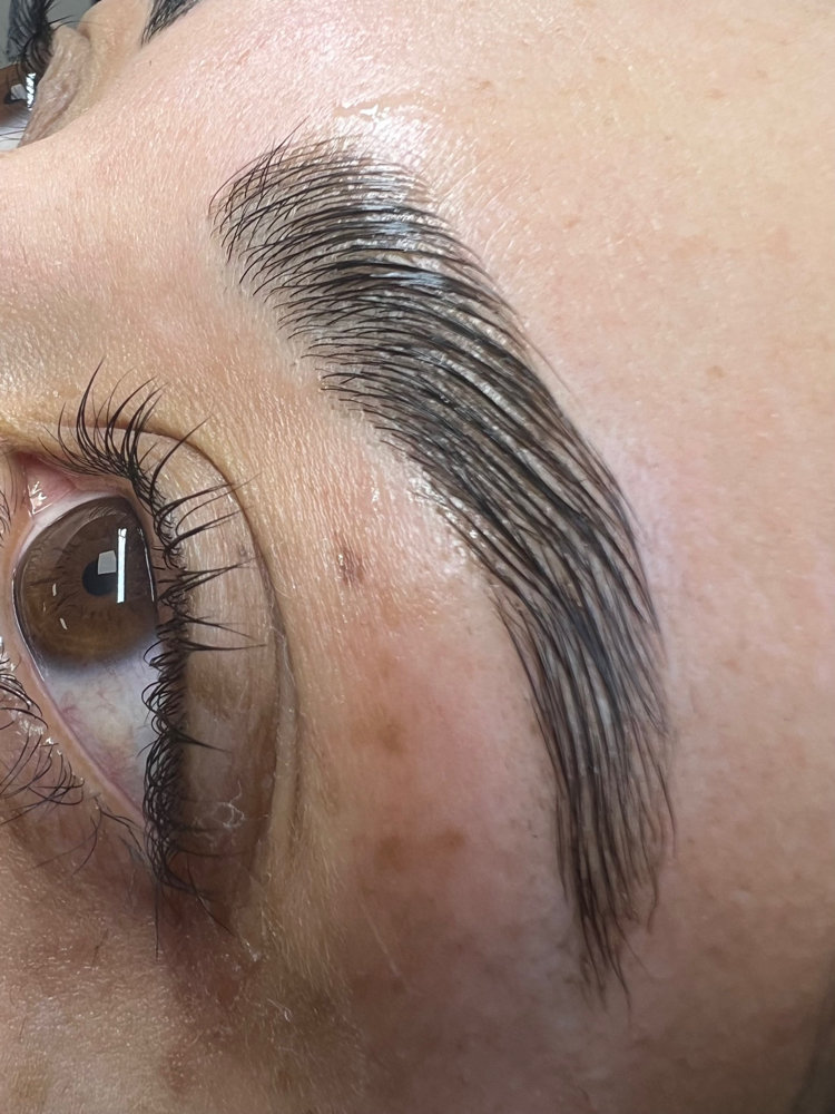 Eyebrow Lamination/Tint