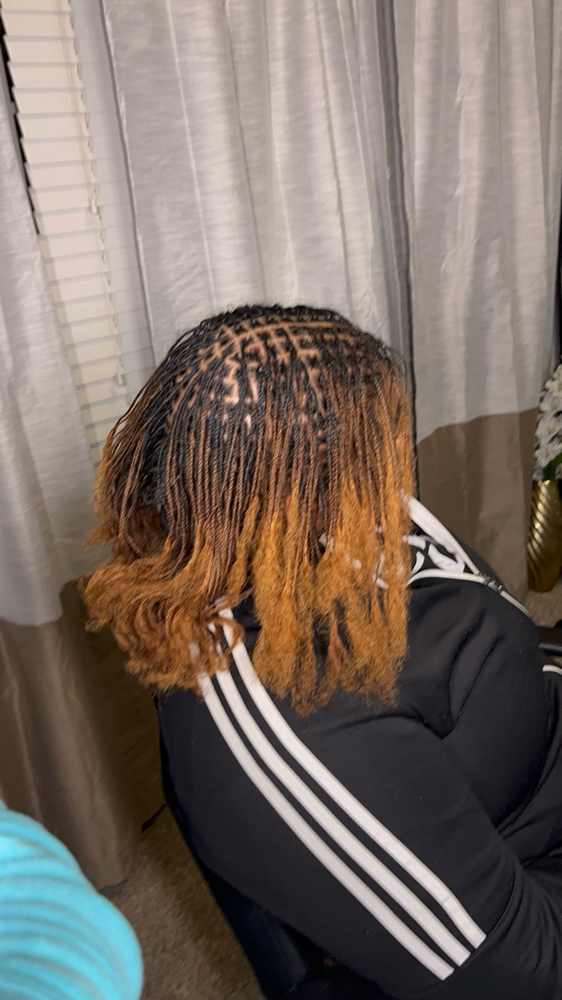 Micro Loc Braid Install ( No Weave)