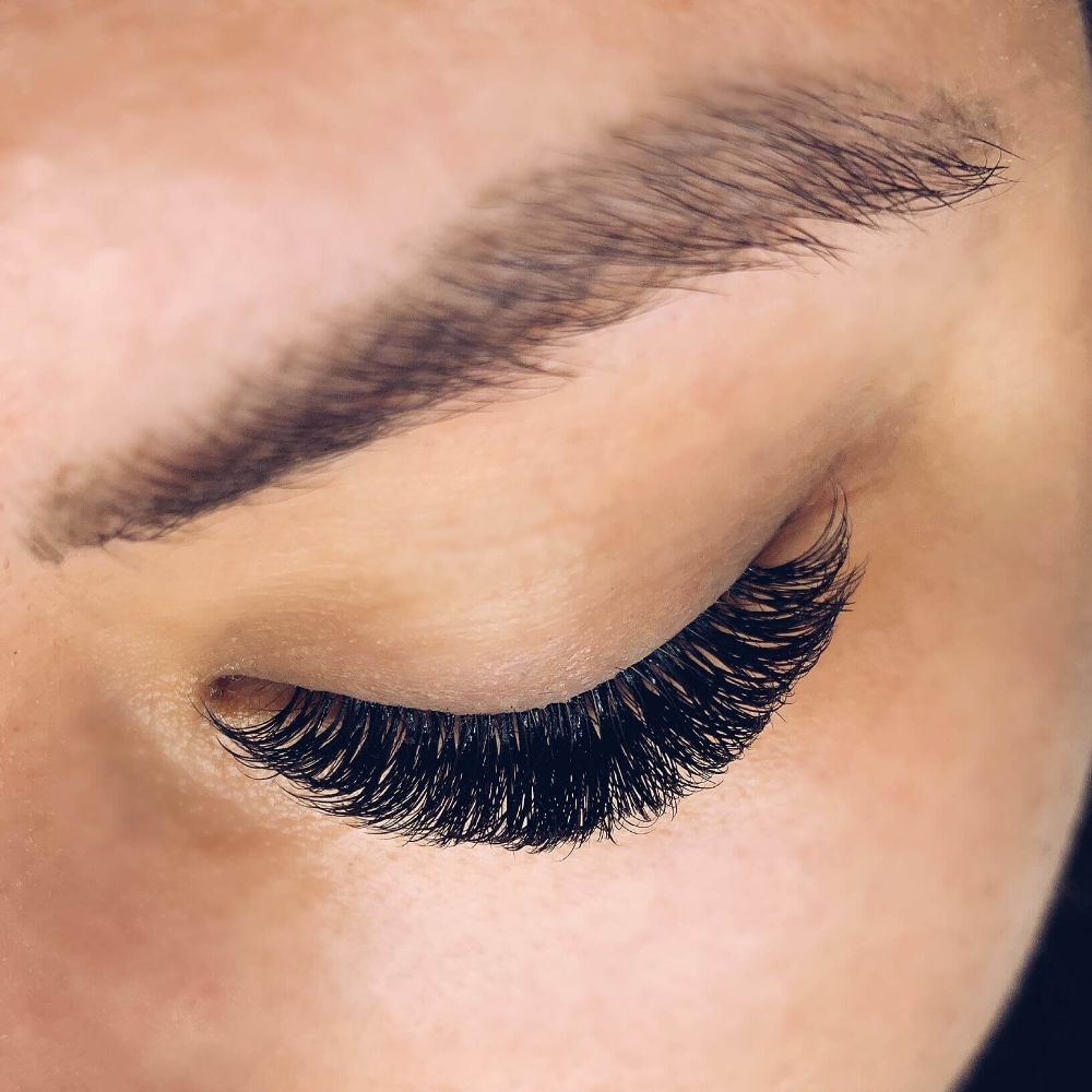 Lashes & Brows