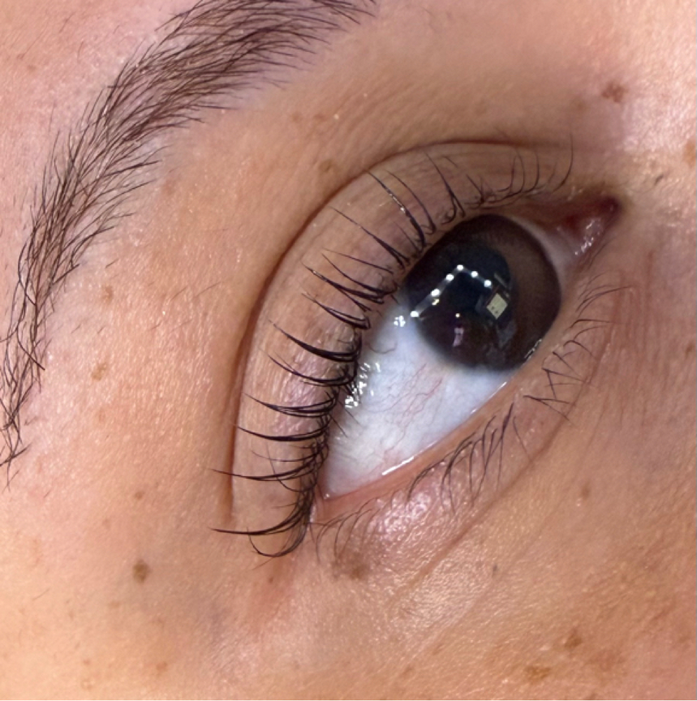 Korean Lash Lift & Tint at AestheticsbybabyyV in Fresno, CA