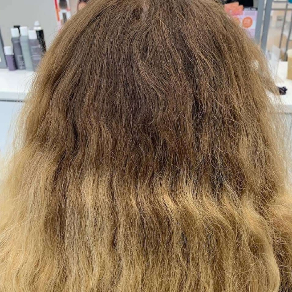 Root Color Touch Up at Chromatic Hair Studio in Matthews, NC