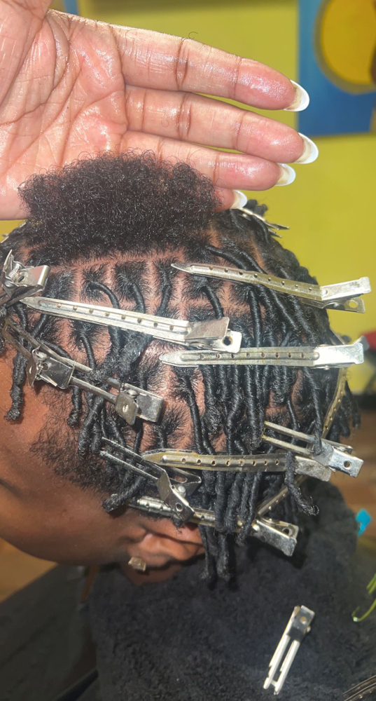 Starter Locs