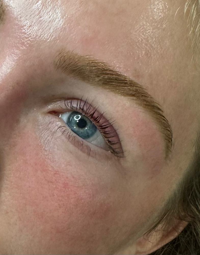 Brow Wax and Tint