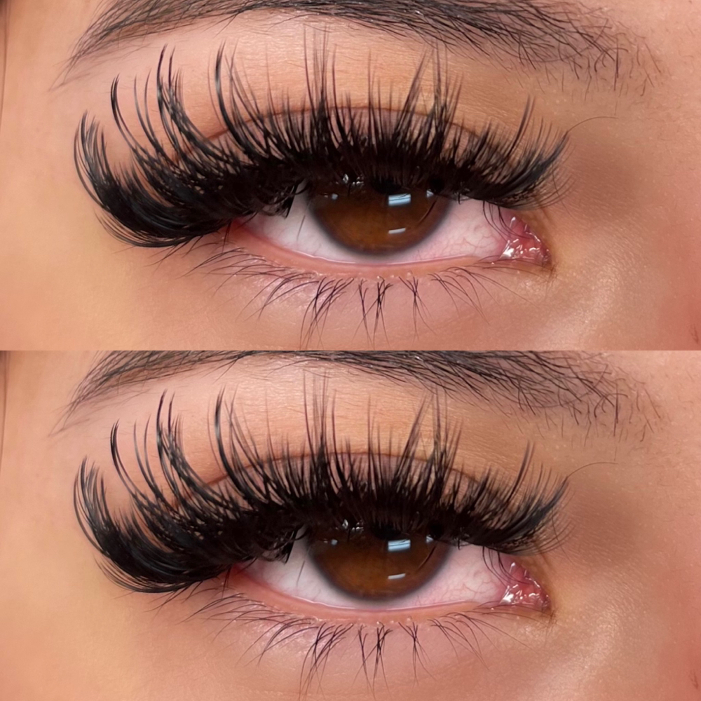 Strip Lash / Wispy