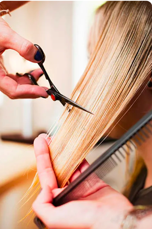 Women’s Design Cut