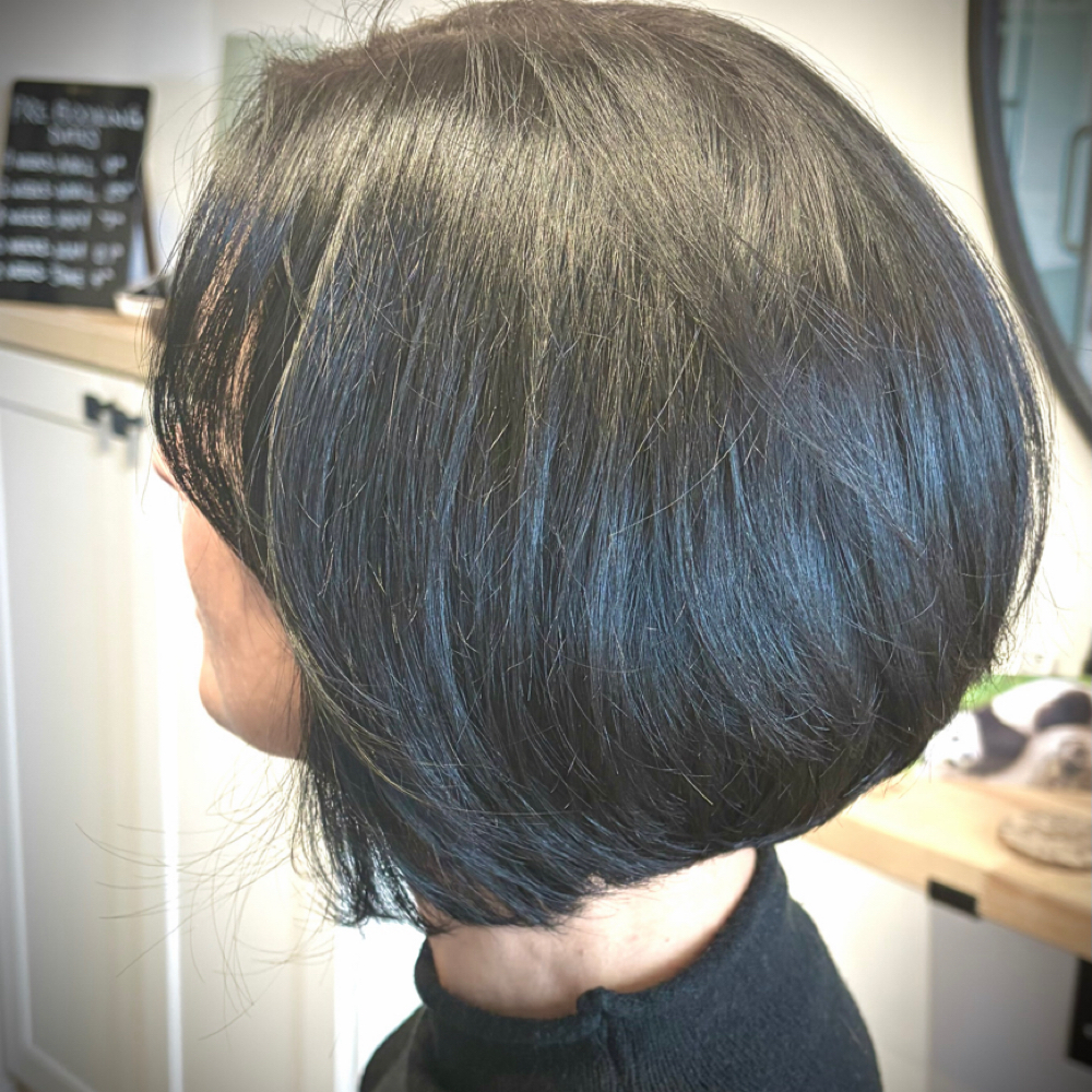 Color Refresh W/ A Few Hilites/ at Renee Schroeder Master in Hair Color /Stylist in Boulder, CO