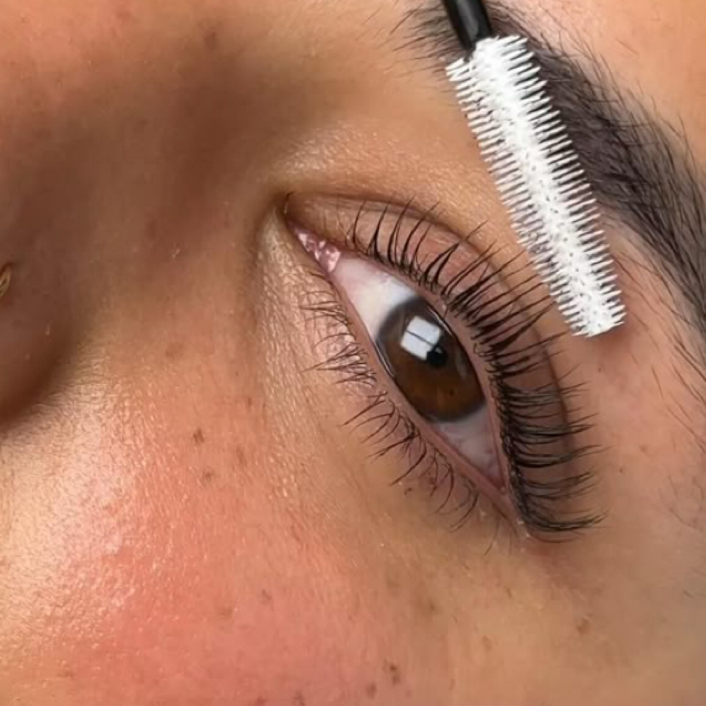 Korean Lash Lift at Caza Seoul in Lakewood, CO