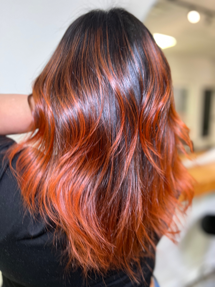 Color Touch Up/ Gloss