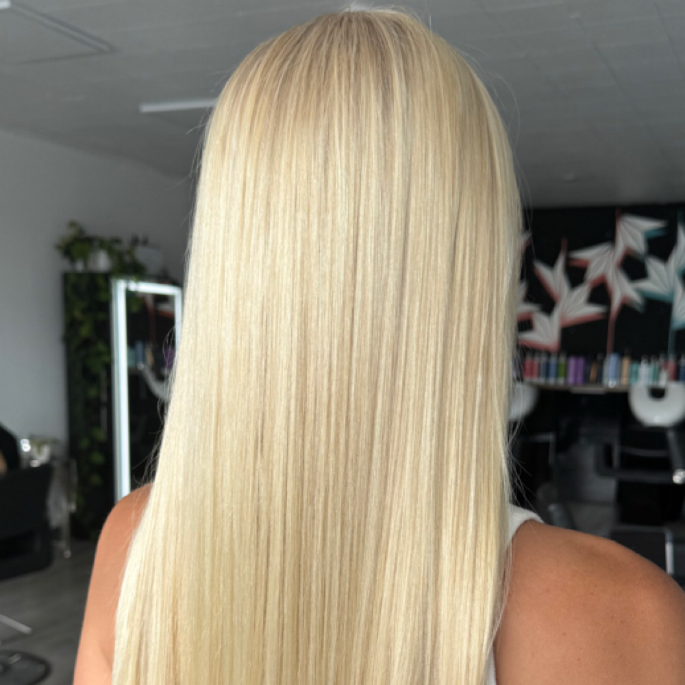 Bleach & Tone at Brandi Skyy in Wheat Ridge, CO