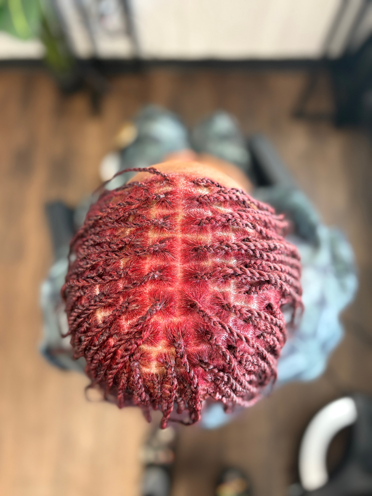 Mini Twist/ Tiny Locs