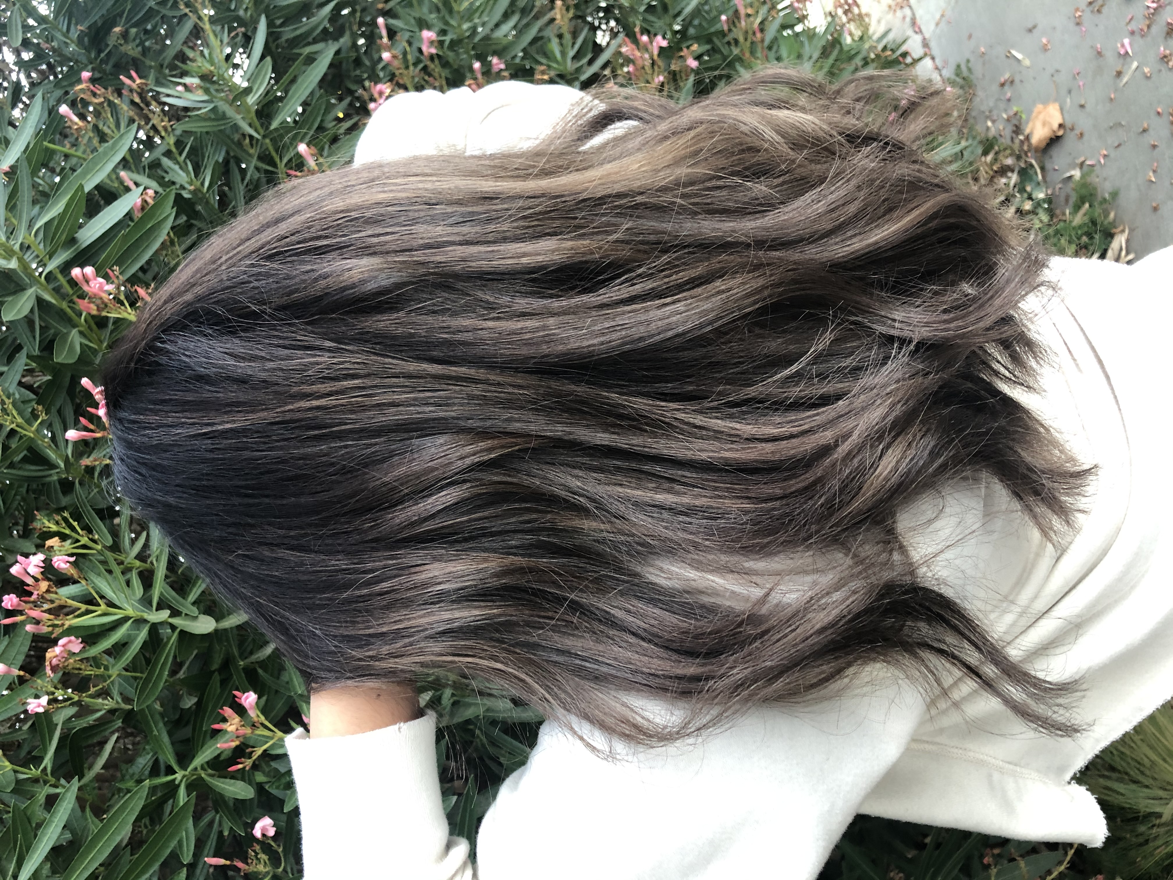 Full H/L, Root t-up & Haircut