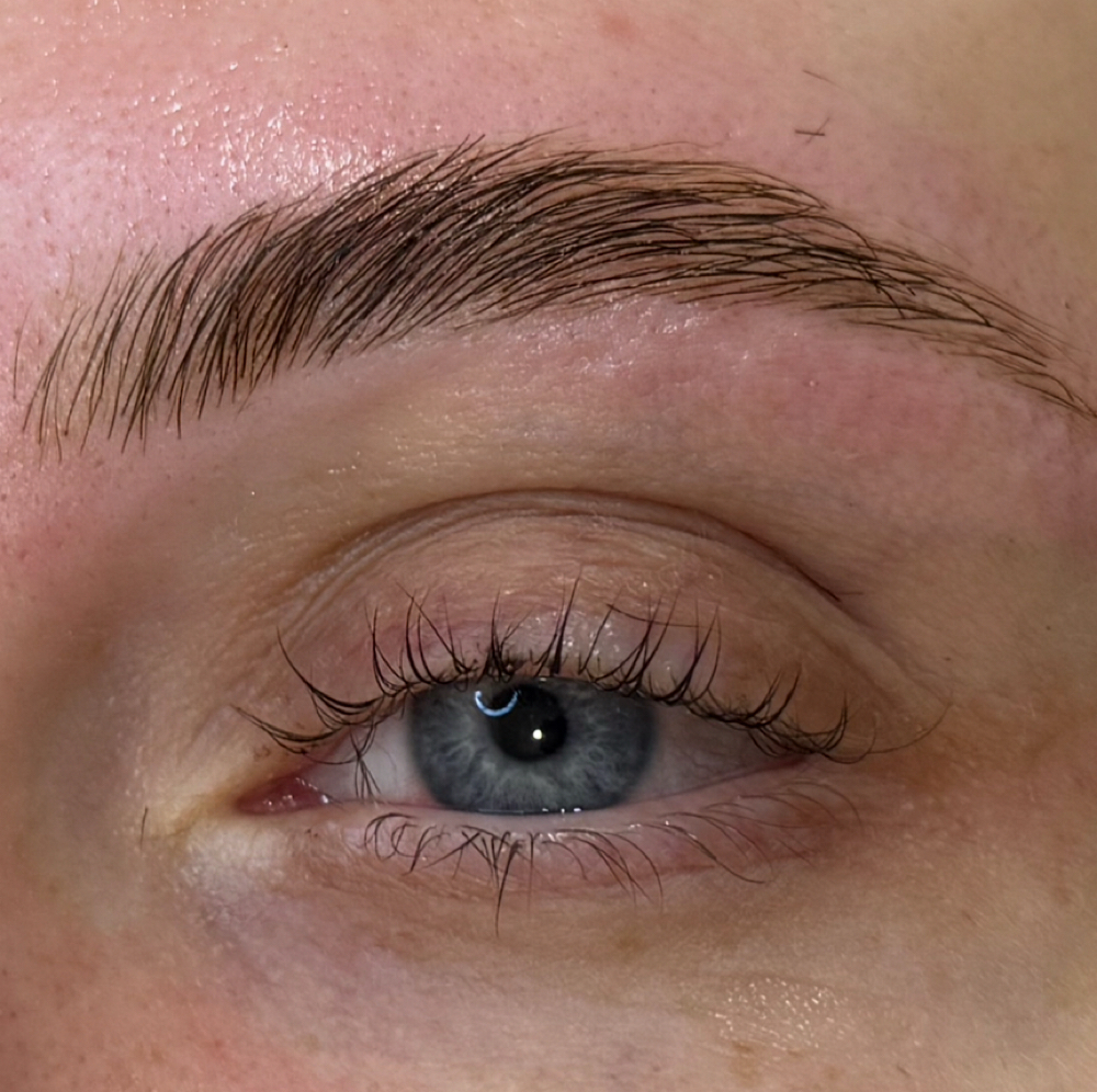 Brow Lamination & Tint at Graceful Glow Aesthetics in Paducah, KY
