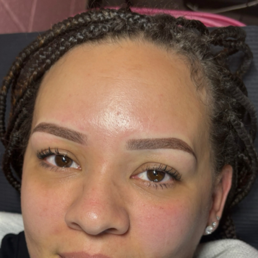 Microshading Touch Up 6-12 Weeks at Shaded By Chante in Decatur, IL