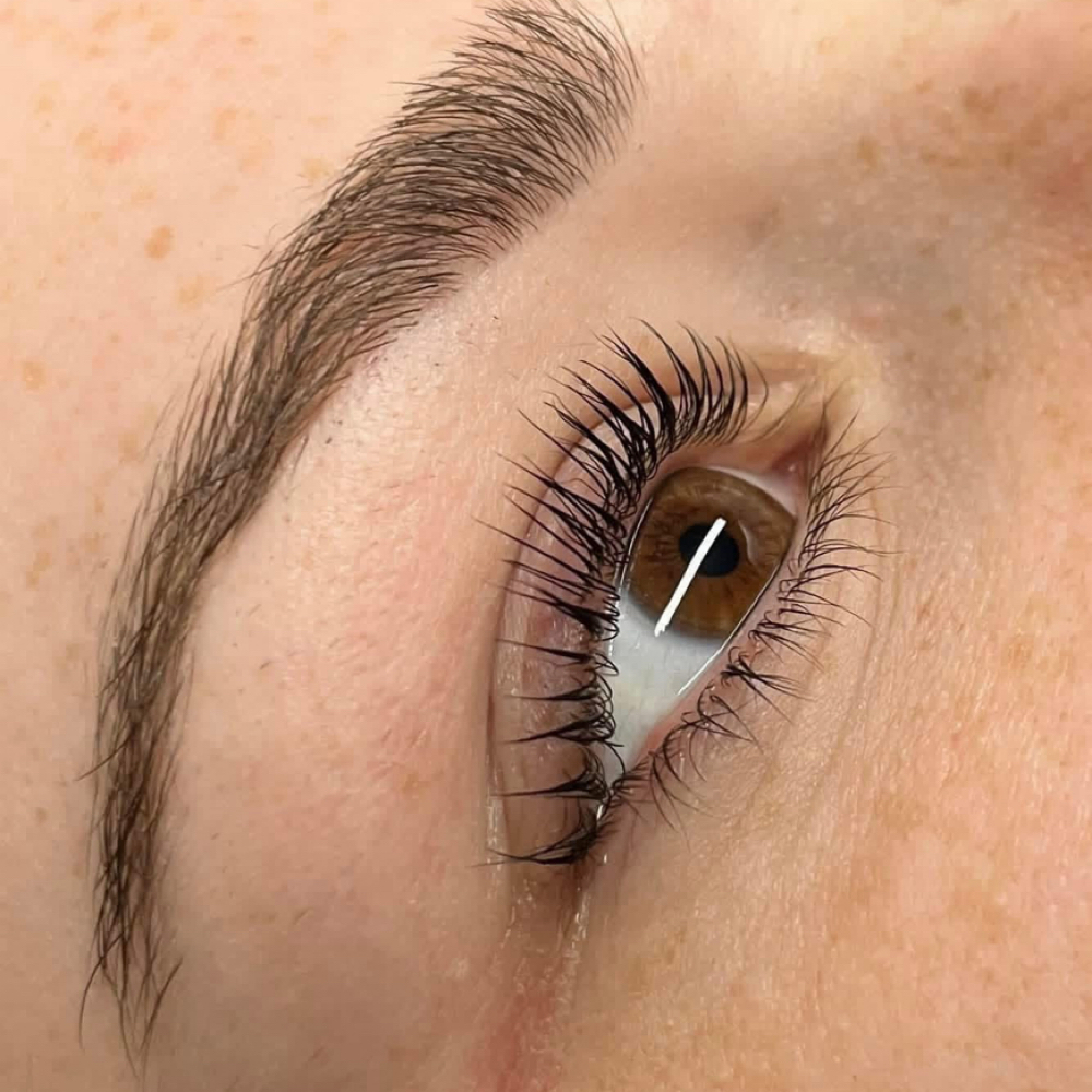 Lash & Brow Special at Bloom + Co. in Marysville, KS
