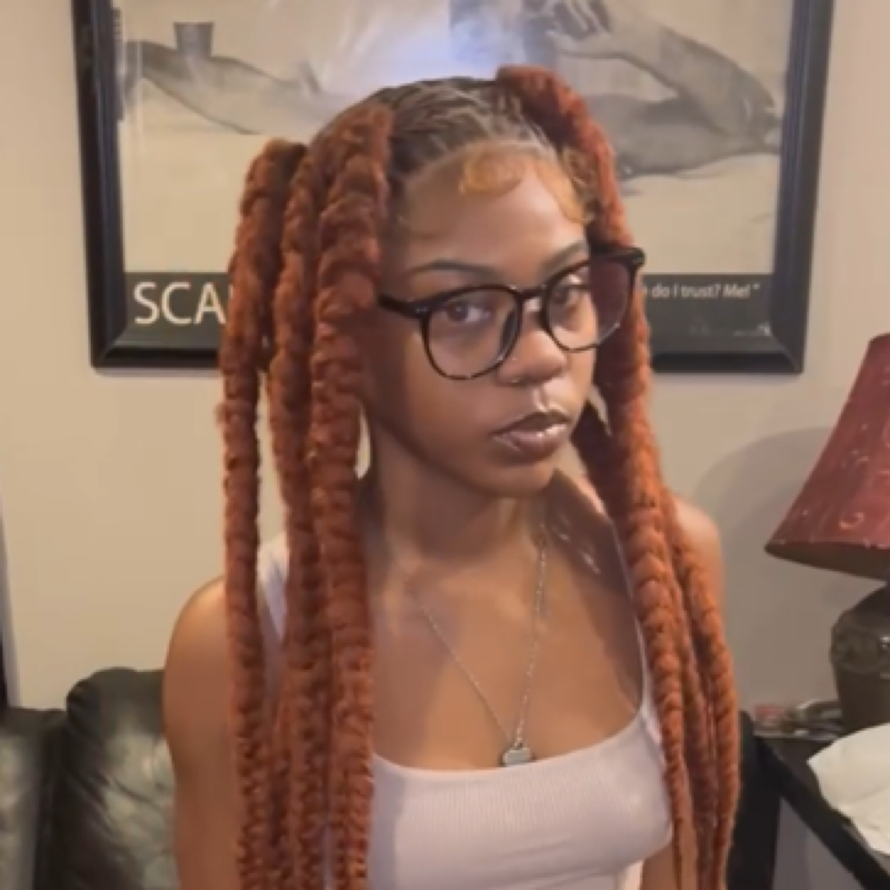 Jayda Wayda Braids Over Locs at Eryka’s Hair Couture in Midlothian, IL