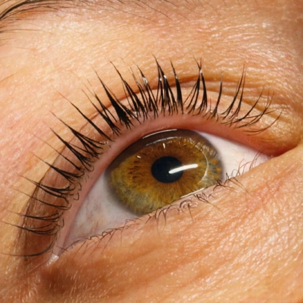 Korean Lash Lift + Tint at Myliah Brown in Louisville, KY