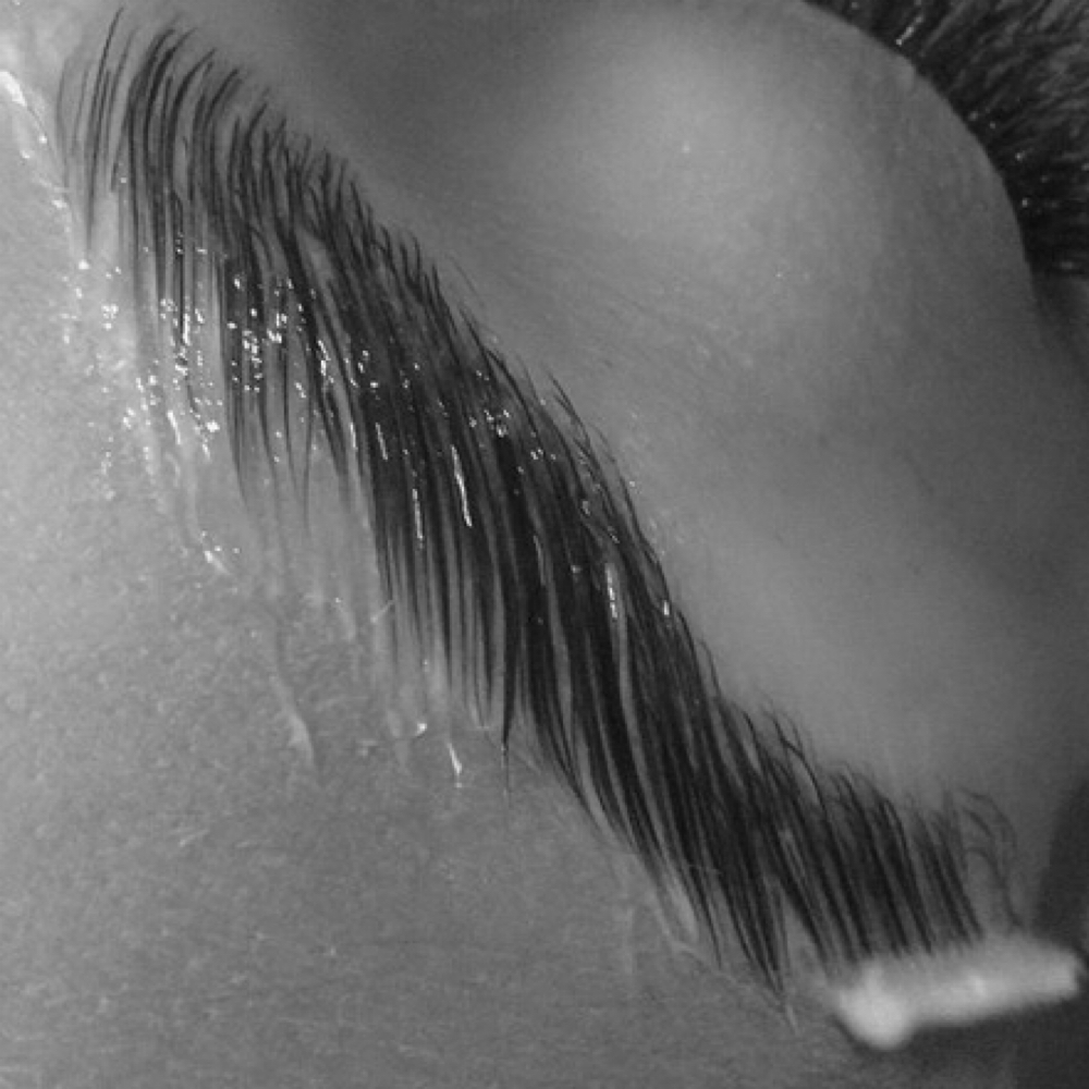 Brow Restoration at Elisa's Glow Studio in Schererville, IN