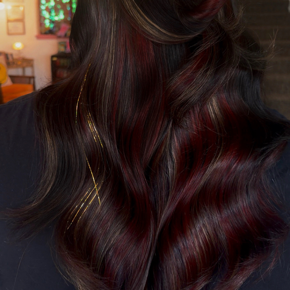 Tinsel at Lisa.Hair Lounge On Main in depere, WI
