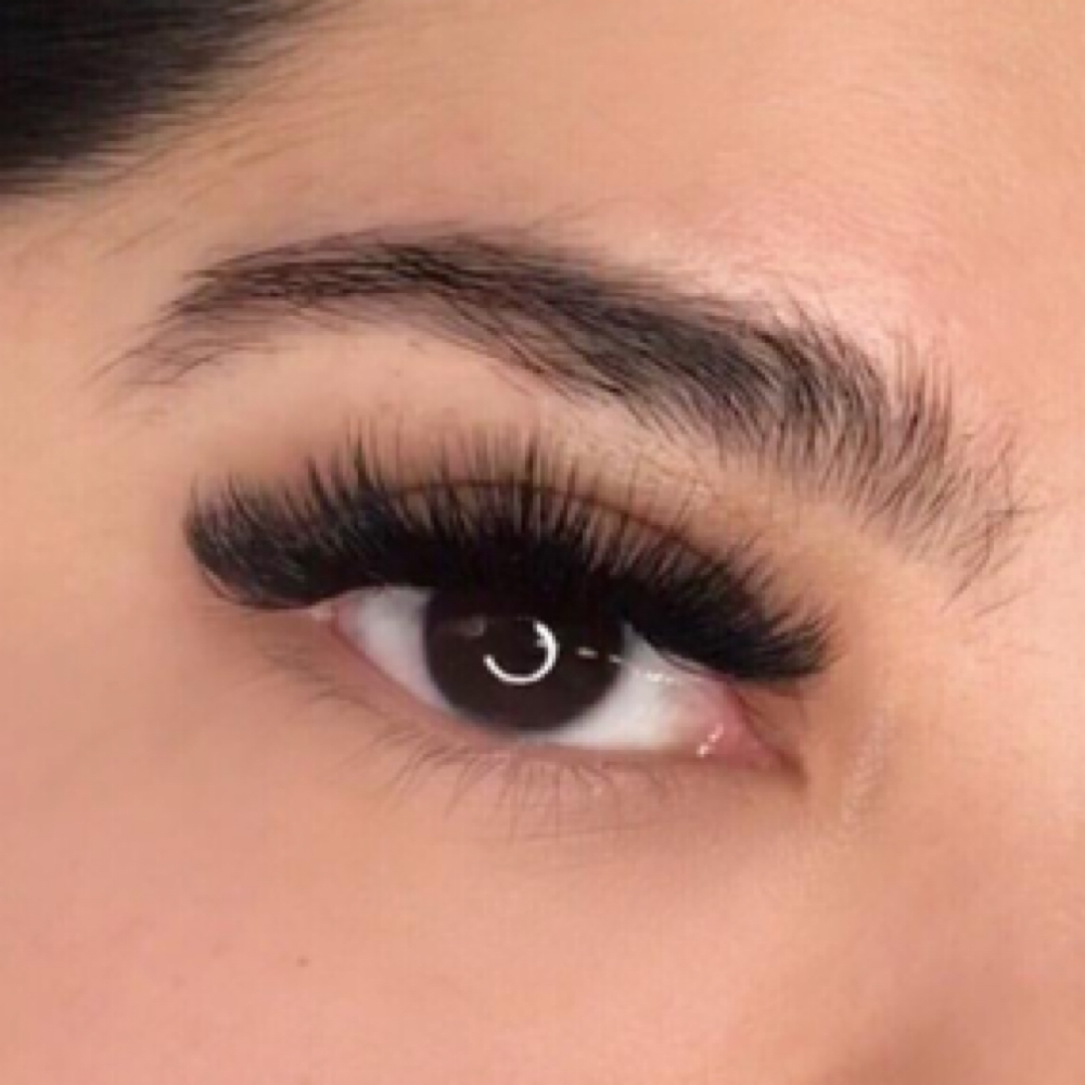2 Week Mega Fill at LASH + MANE in Waxahachie, TX